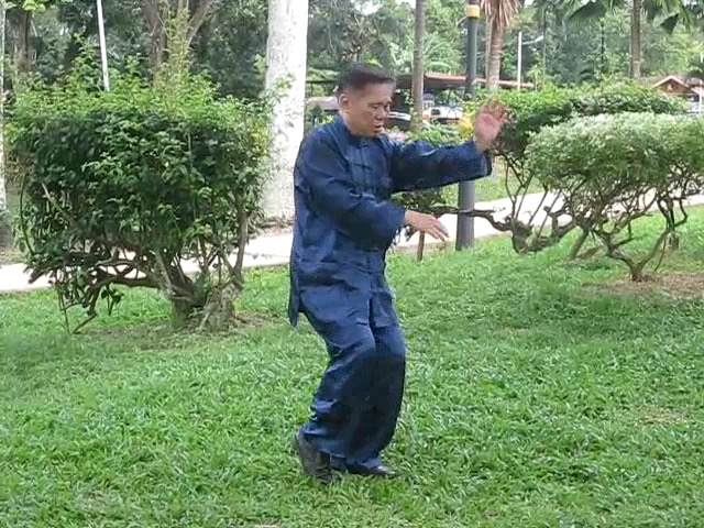 Wu Yu Xiang Style Taijiquan